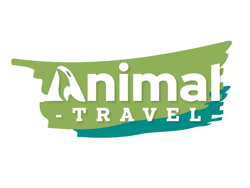 Animal Travel