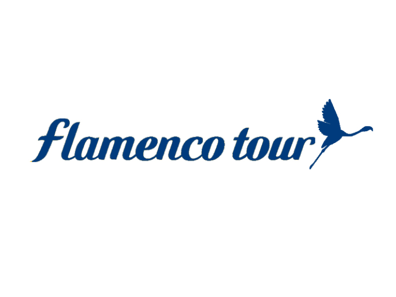 Flamenco tour